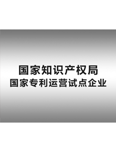 2-0-1-6年，-精英知識(shí)產(chǎn)權(quán)運(yùn)營(yíng)服務(wù)公司被國(guó)家知識(shí)產(chǎn)權(quán)局確定為“-國(guó)家專(zhuān)利運(yùn)營(yíng)試點(diǎn)企業(yè)”；.png